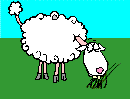 gif animé mouton
